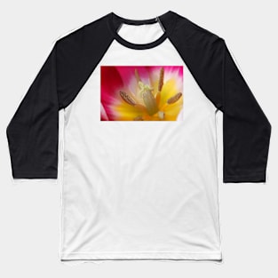 Tulipa 'Ballade' AGM Tulip Lily-flowered Group April  Artistic filter applied to photo Baseball T-Shirt